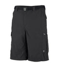 Shorts cargo pour hommes SILVER RIDGE - Columbia